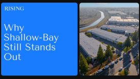 rising-why-shallow-bay-still-stands-out